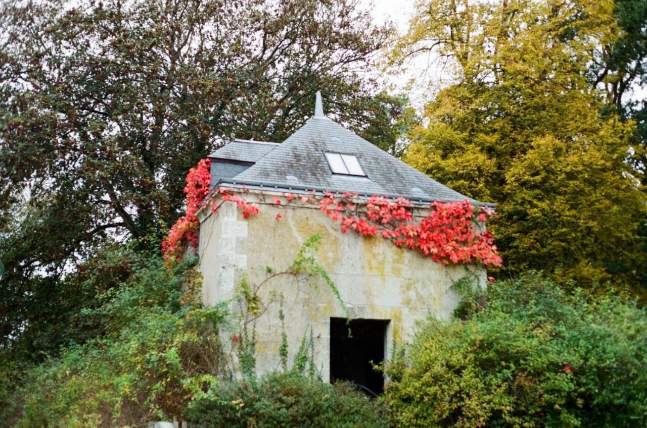Chateau De La Huberdiere Nazelles-Negron Exterior foto