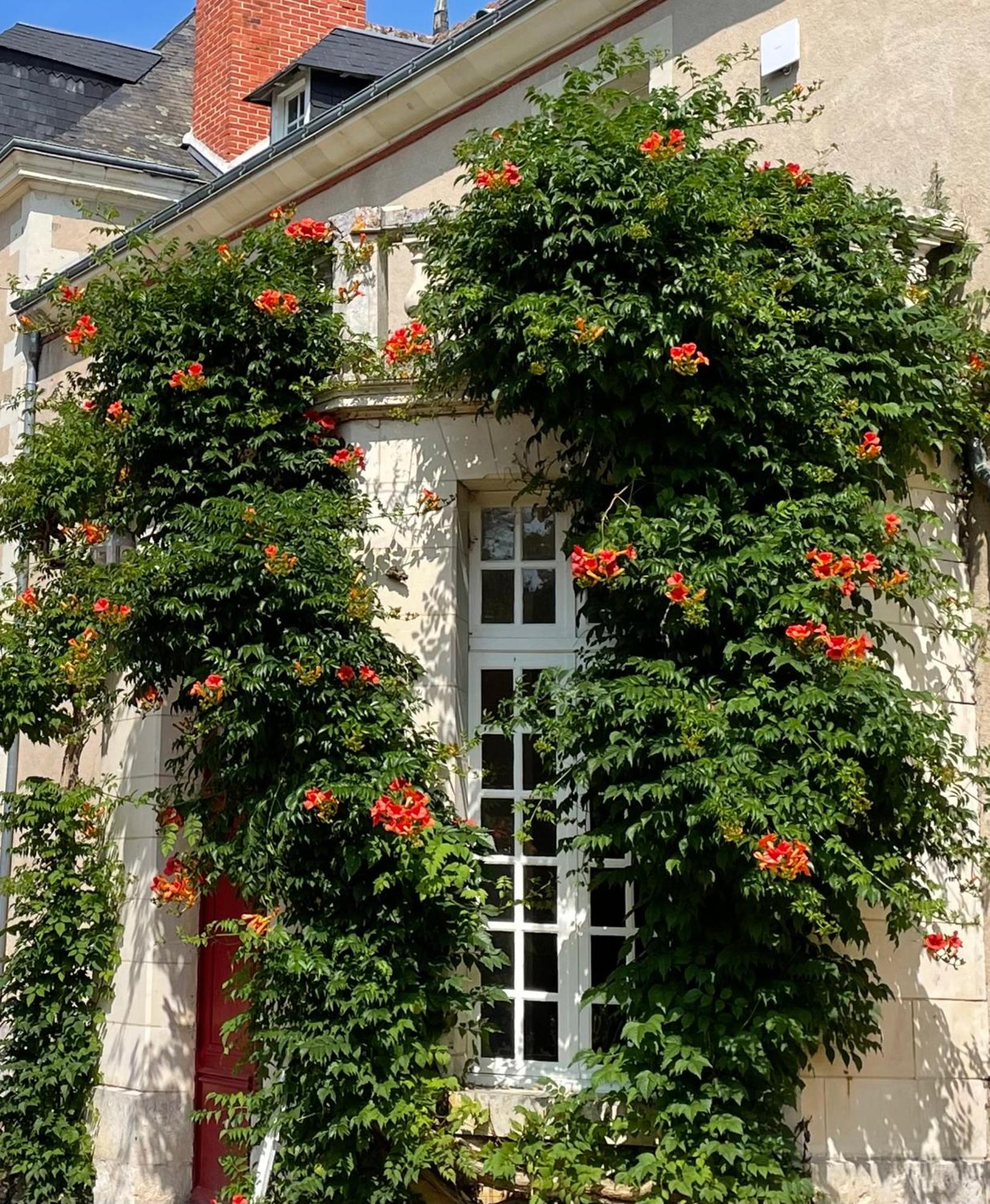Chateau De La Huberdiere Nazelles-Negron Exterior foto